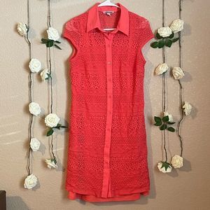 𝅺db established dress